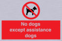 no-dogs-except-assistance-dogs~